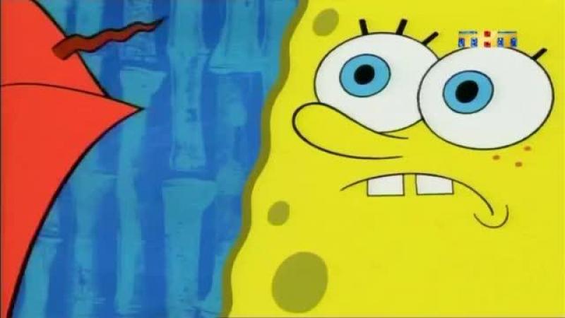 Кадры из сериала Губка Боб квадратные штаны (1999-2026)